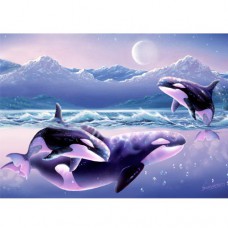 STEVE SUNDRAM GREETING CARD Orcas in Alaska